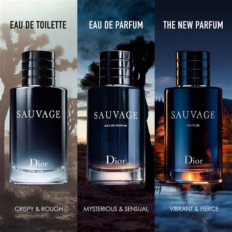 dior homme sport vs eau sauvage|is dior sauvage worth it.